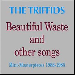 Beautiful Waste And Other Songs