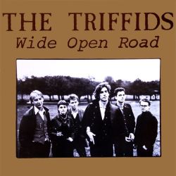 Wide Open Road - the best of the Triffids