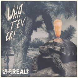 Hello Are You Real  / Aron D'Alesio