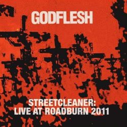 Live at Roadburn 2011