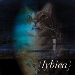 Lybica