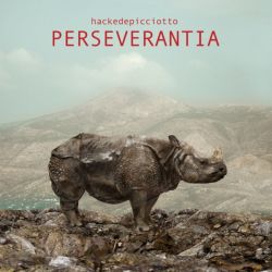 Perseverantia