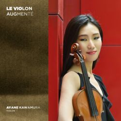 Le Violon augmenté