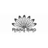 RISING BIRD MUSIC